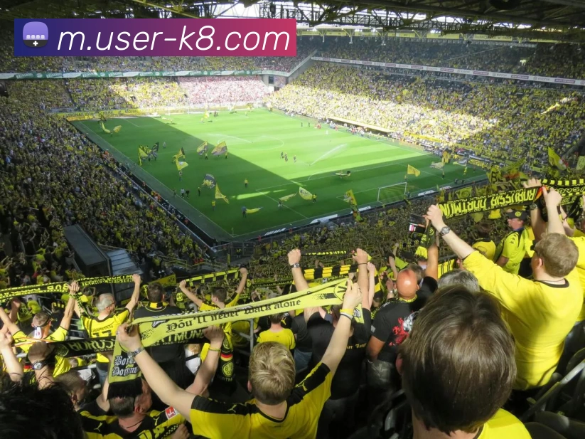 多媒体互动体验